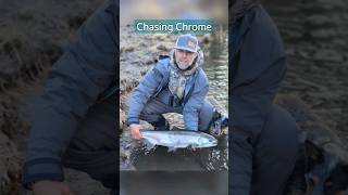 Great start to the steelhead season in Yakutat fishing [upl. by Treble]