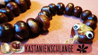 Kastanienschlange  Basteln mit Kastanien  Basteln im Herbst [upl. by Haisoj]