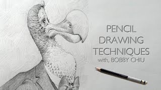 Pencil Drawing Techniques [upl. by Enomahs]