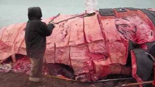 Nunavut Whale Huntwmv [upl. by Leunad]