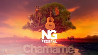 🟠📺FIESTA NACIONAL DEL CHAMAMÉ  HOY LOS DE IMAGUARÉ  DÍA 8 EN VIVO NG FEDERAL [upl. by Adnauqaj]