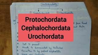 ProtochordataCephalochordata Urochordata [upl. by Theona137]