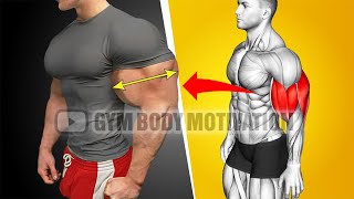 Worlds Best Biceps and Triceps Workout For Bigger Arms [upl. by Darcia]