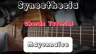 Synesthesia  Mayonnaise Guitar Chords Tutorial [upl. by Rizan221]