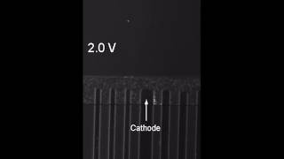 Photoelectrochemical ion concentration polarization [upl. by Acassej539]