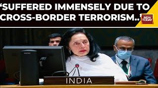 We Have Suffered Immensely Due To Cross Border Terrorism amp Violence Ruchira Kamboj At UN Meet [upl. by Audwen]