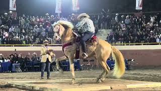 🐴 CABALLOS BAILADORES 🎡 FERIA GANADERA DE CULIACÁN 💯 [upl. by Ledif659]