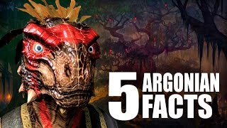 Skyrim  5 Argonian Facts  Elder Scrolls Lore [upl. by Etnaled907]