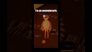 Im an anomalocaris🥹🥺memes shorts dailymemes [upl. by Scevour]