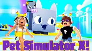 We Trade in PET SIMULATOR X for the FIRST Time New DREAM Pet [upl. by Ayokahs]