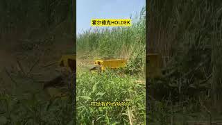 Mower RC Robot Grass Cutter Radio Controlled All Terrain Lawnmower For Slopes remotecontrolmower [upl. by Malena]