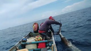 BEGINI JADINYA BLUE MARLIN MAKAN UMPAN TUNA [upl. by Strang]