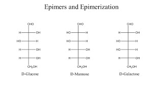 Epimers and Epimerization [upl. by Ttennej974]