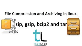 File Compression and Archiving with zip gzip bzip2 and tar  Linux Commands [upl. by Legge]