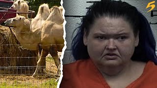 Amy Slaton Halterman of TLC’s ’1000lb Sisters’ arrested at Tennessee Safari Park [upl. by Shere]