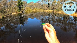 Redfin Fishing In A Small Dam [upl. by Benyamin729]