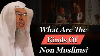 What Are The Kinds Of NonMuslims Assim Al Hakeem  Sheikh Asim [upl. by Lusar]