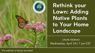 Rethink your Lawn Adding Native Plants to Your Home Landscape [upl. by Myrtia]