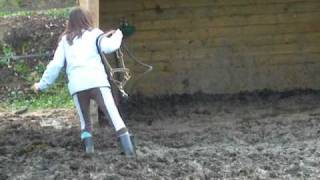 Camille dans le paddock en hiveer [upl. by Revilo]