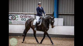 British Dressage Novice 2 2024 with OTTB [upl. by Vincenz875]