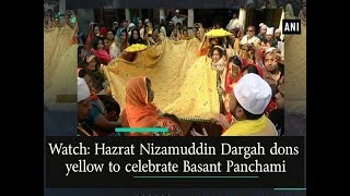 Watch Hazrat Nizamuddin Dargah dons yellow to celebrate Basant Panchami  ANI News [upl. by Asilrak]