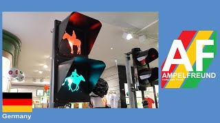 Ampelmann Mongolia Ampelmann Shop [upl. by Korrie]