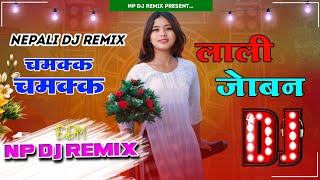 CHAMAKKA CHAMAKKA DJ  LALI JOBAN DJ  NEPALI DJ SONG 2024 2081  TANKA TIMILSINA  NP DJ REMIX [upl. by Yvonne637]