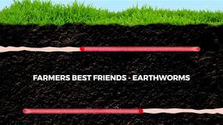 Earthworms farmers best friends [upl. by Esyak]