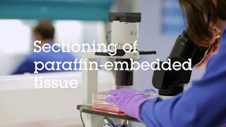 Sectioning of paraffin embedded tissue video protocol [upl. by Rdnaskela]