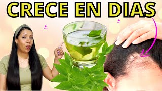 EL CABELLO CRECE COMO LOCO Y NO SE CAE😱LA MEJOR RECETA DEL MUNDO PARA CRECER CABELLO😍 [upl. by Otto]