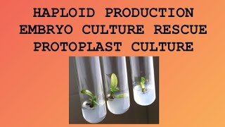 Haploid Production  Embryo culture Rescue  Protoplast culture and its Isolation  Amitian Notes [upl. by Kruter132]