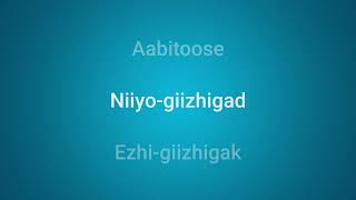 Rosetta Stone Ojibwe Songs Ezhi giizhigak Days of the Week [upl. by Kcirdla]