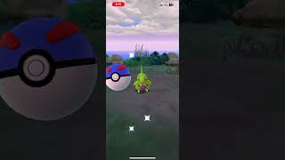 I caught this shiny on my insance in Pokémon go [upl. by Lorain]