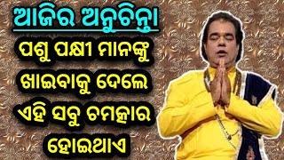 Pasu pakhi mananku khaibaku dele ehi Sabu labha hoithae  Ajira anuchinta 31 Oct 2018  odia tips [upl. by Noryt592]