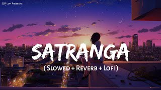 Satranga  Lofi Mix  Slowed  Reverb  Arijit Singh  Animal  SSR Lofi [upl. by Asfah]