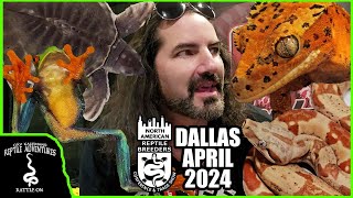 DALLAS NARBC APRIL 2024 1000s of reptiles and all new Rattle On Awards [upl. by Calli230]