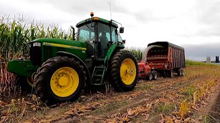 Chopping Corn Silage On A Wisconsin Dairy Farm Part One Harvest Season 2023 [upl. by Neved]