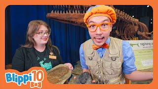 BLIPPIS DINOSAUR THEMED BIRTHDAY📖Blippi📖 Moonbug Kids📖 Learning Corner [upl. by Enaywd]