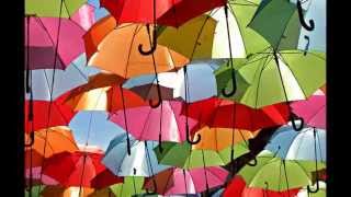 Hundreds of Floating Umbrellas in a Street in Agueda Portugal HD 2024 [upl. by Ahsiekal]