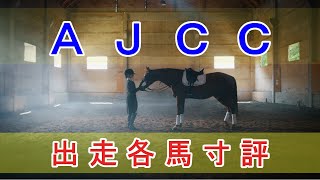 AJCC 2024  出走各馬寸評 [upl. by Stevana253]