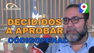 Senadores decididos a aprobar el código penal  El Despertador [upl. by Nuawd]