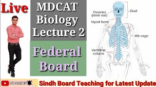 Live Axial Skeleton MDCAT Biology Lecture 2 Federal Board [upl. by Anhsirk685]