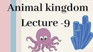 Annelida  Animal kingdom Lecture  9 [upl. by Qerat]