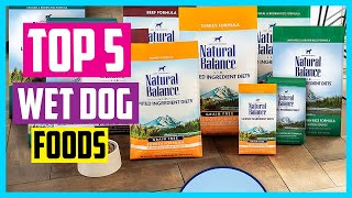 ✅The 5 Best Wet Dog Foods 2024 Reviews [upl. by Ahsenauq]