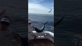 SwordFish Almost Takes Mans Life 😱🐟 [upl. by Avik458]