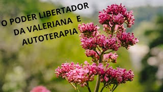 Conheça o PODER LINERTADOR da Valeriana e a AUTOTERAPIA valeriana ansiedade [upl. by Redan369]