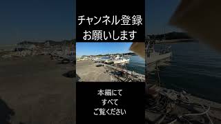 【釣り場情報】愛知県南知多大井漁港に釣り禁止エリア拡大中です。2024年10月現在 [upl. by Cristina]