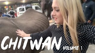 I FINALLY SEE AN ELEPHANT AND A RHINO I CHITWAN DIARIES I Volume 1 [upl. by Jacklin]