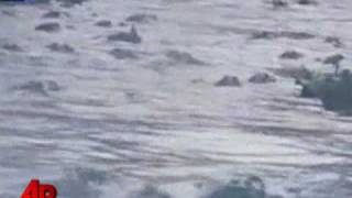 Alligator Feeding Frenzy Caught on Tape [upl. by Adah850]