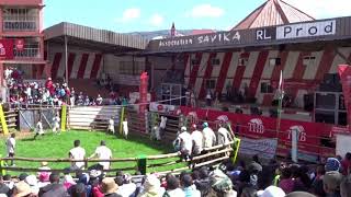 Savika Bull Catching Ambositra part 1 [upl. by Reitman]